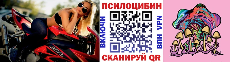 кракен как зайти  Волхов  Псилоцибиновые грибы Psilocybe  darknet формула  сколько стоит 