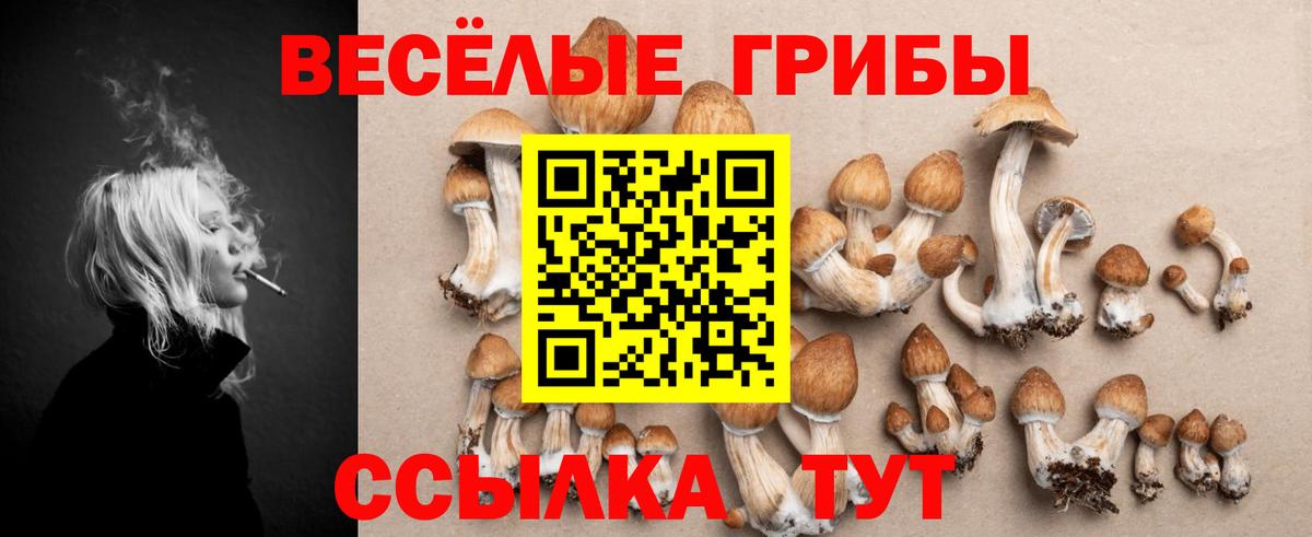 Волхов  Галлюциногенные грибы ЛСД  Галлюциногенные грибы мухоморы  Вход с VPN 