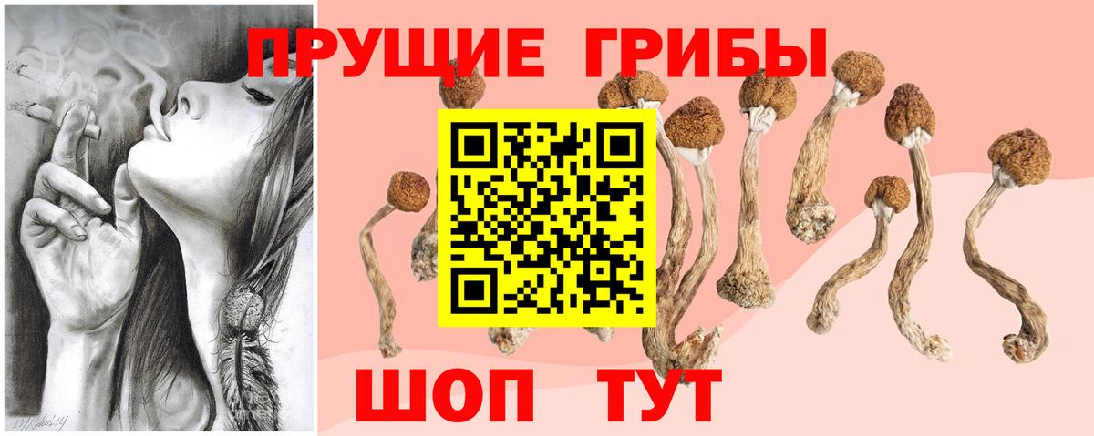 Псилоцибиновые грибы ЛСД Волхов