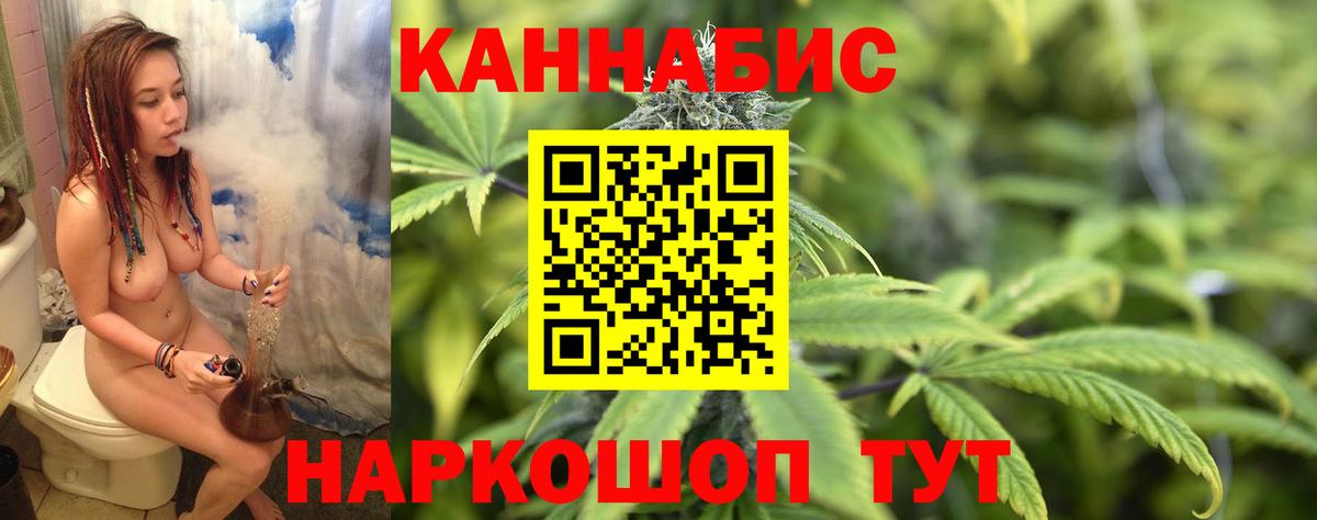 Волхов  Конопля ГИДРОПОН  Конопля Bruce Banner  Вход с VPN 